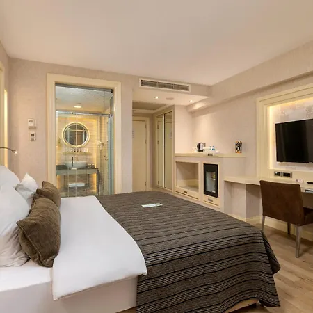 利马克欧亚豪华酒店 5*