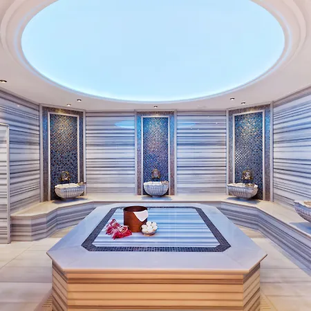 利马克欧亚豪华酒店 酒店 5*